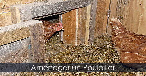 Aménager Poulailler - Construire Poulailler