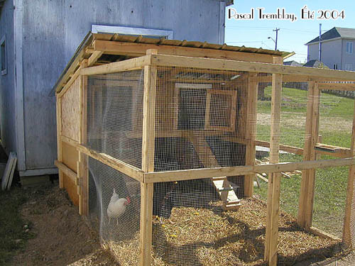 Construire un Poulailler avec enclos ou volière