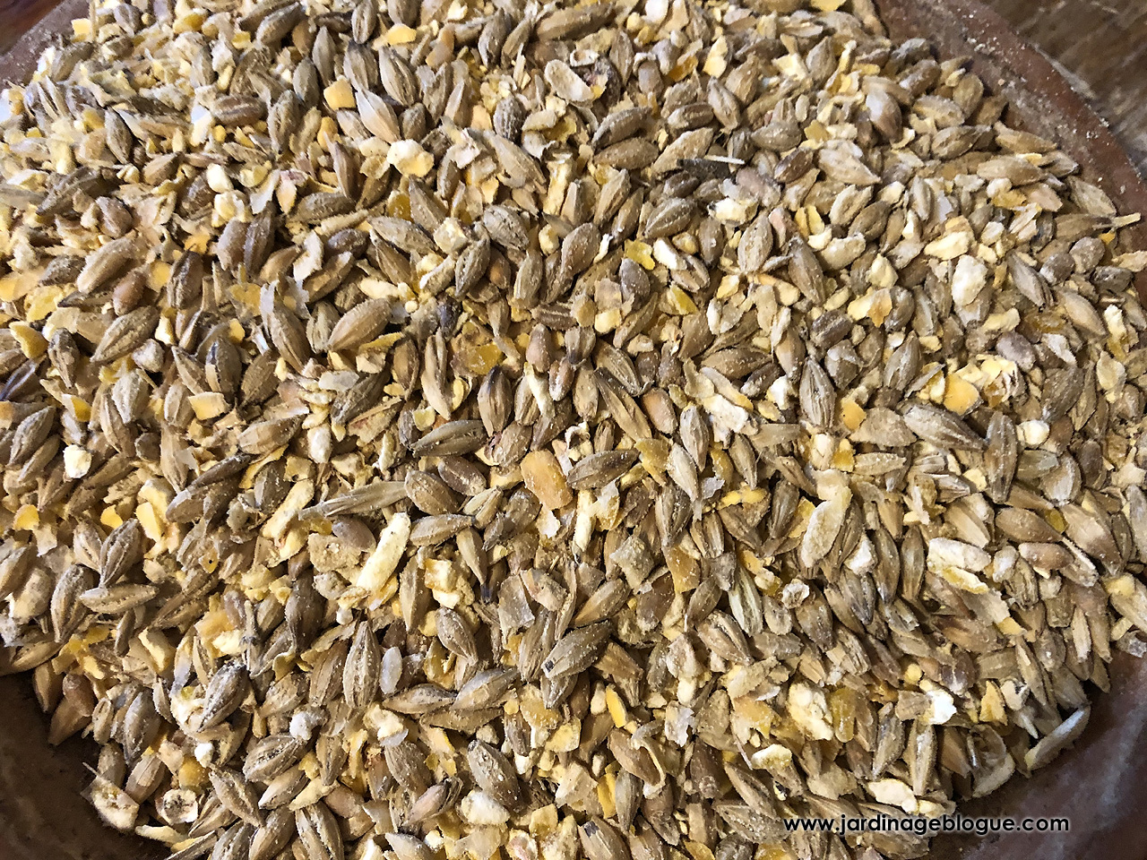 Alimentation Poules - Mélange de grains en poche